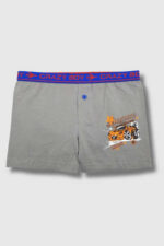 Tutku Çocuk Elastan Baskılı Boxer 12li Paket - Görsel 6