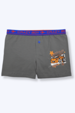 Tutku Çocuk Elastan Baskılı Boxer 6'lı Paket - Görsel 7