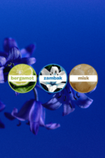 Dalin Bebek Kolonyası Deniz Esintisi 150 ml - Görsel 2