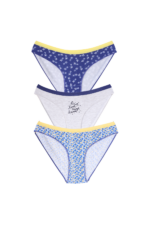 Kız Çocuk Mavi Renk Desenli 3'lü Külot Seti