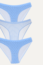 Kız Çocuk Çizgili ve Çiçek Desenli 3'lü Çocuk Külot Seti 15-16 Mavi - Görsel 2